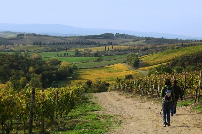 Explore Siena: Top-Rated Day Tours