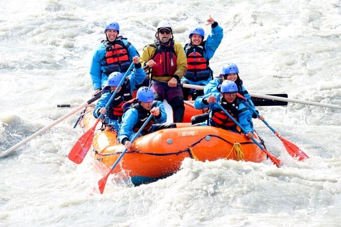 Expert-Led Denali Naturalist Walking Tours & Wildlife Discovery