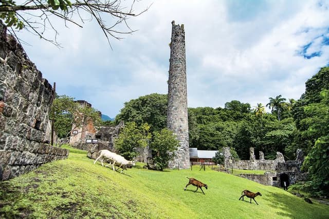 Panoramic Sightseeing Tour of St Kitts