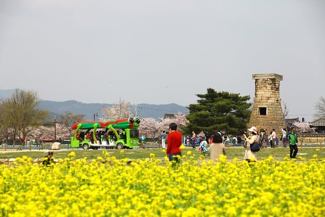 Busan to Gyeongju Day Trip