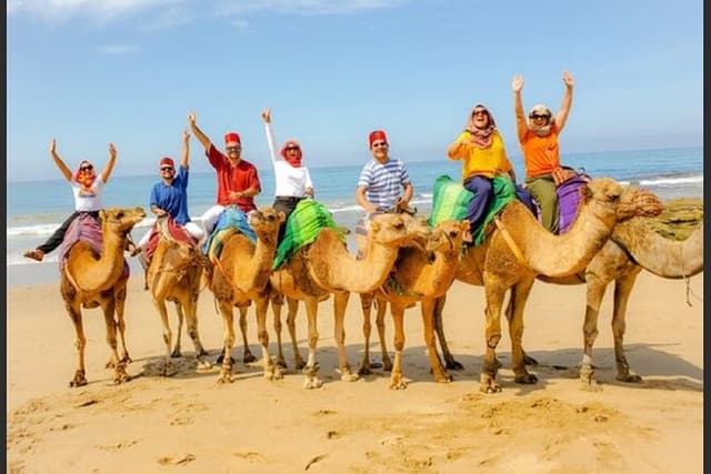 luxury 4 Hour Private Tour of Tangier