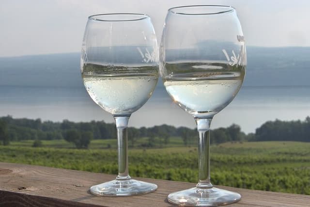 Seneca Lake Wine Tasting & Tour