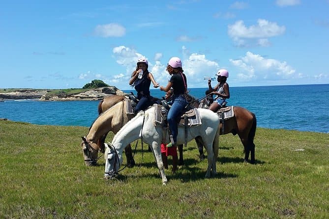 Unforgettable St Lucia Sunset Horse Riding in Gros Islet