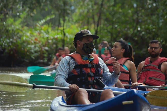 Best Damas Island Mangrove Boat Tour in Quepos, Costa Rica