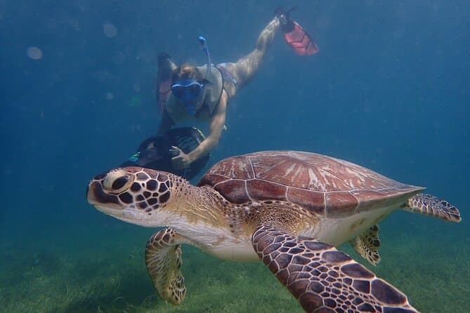 Compare Top-Rated St John's Snorkeling Adventures