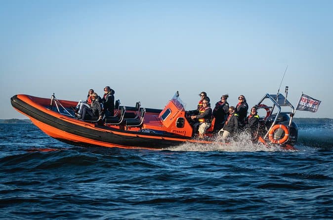 Compare Top Helsinki RIB Island Tours