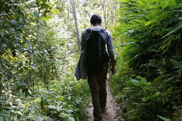 Hiking Tour from Namobuddha to Panauti