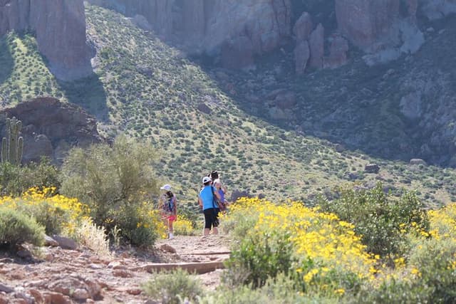 Apache Trail Private Half-Day Tour