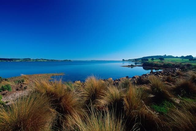 1 Day Exclusively Private Tour Of Phillip Island & The Penguin Parade