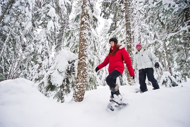 Medicine Trail Snowshoe Tour