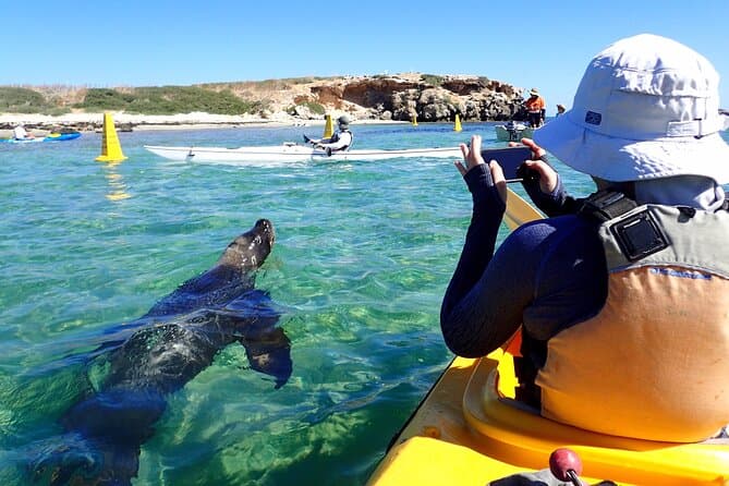 Best Shoalwater Islands Marine Park Cruises from Perth
