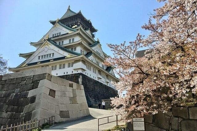 Full-Day Private Guided Tour to Osaka Castle