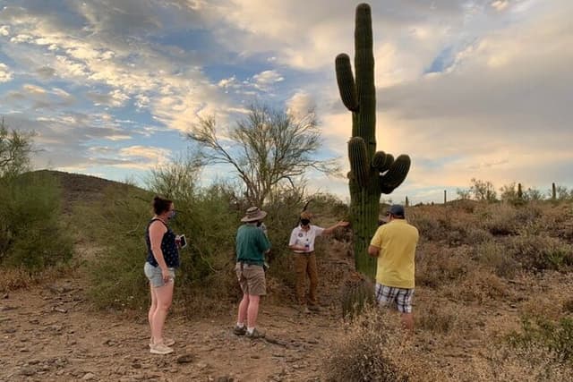 Sonoran Desert Jeep Tour