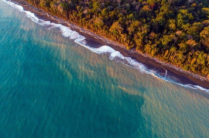 Best Quepos Mangrove Boat Tours & Wildlife