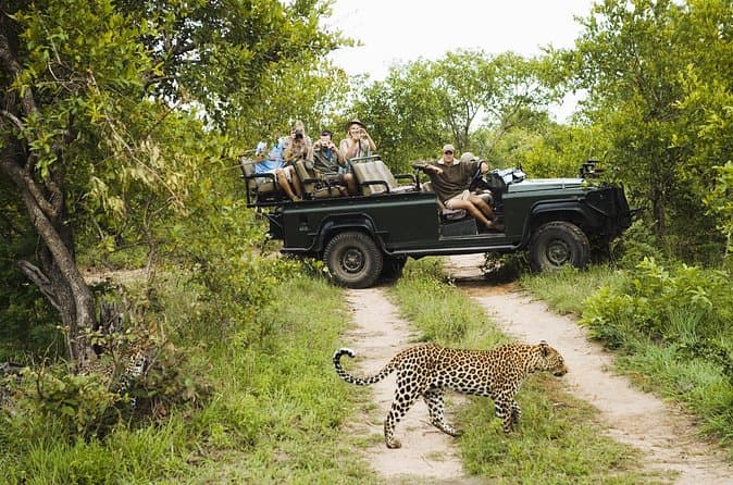 Best Kruger Park Safaris from Pretoria