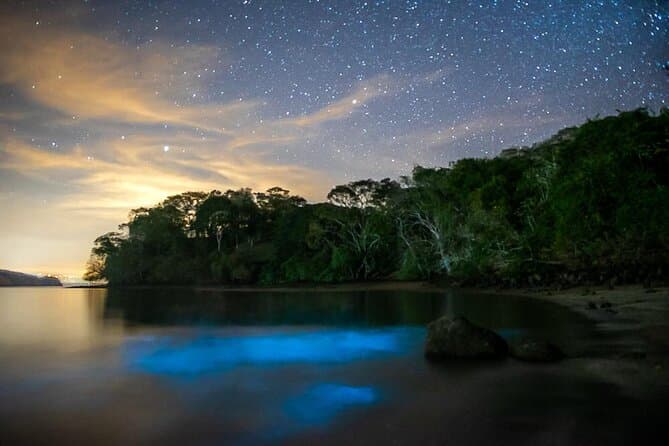 Santa Teresa Night Kayak Glow: Bioluminescent Tour