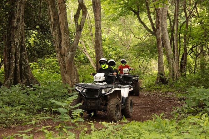 Epic Bucerias Jungle Adventure: ATV & Mountain Bike Tour