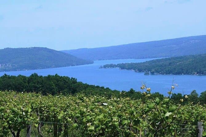 Unforgettable Seneca Lake Wine Tasting & Ithaca Tours
