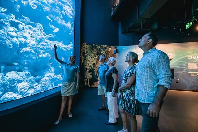 Cairns Aquarium by Twilight Tour