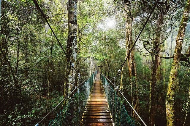 O'Reilly's & Lamington National Park from Gold Coast