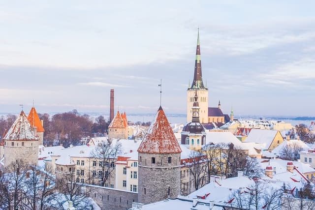 Half-Day Private Guided Sightseeing Tour of Tallinn