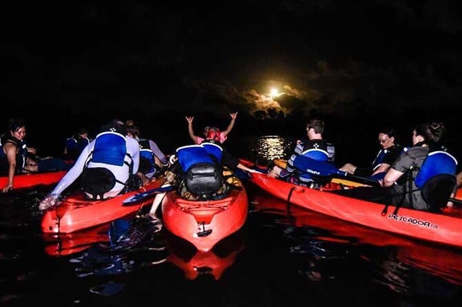 Unforgettable Bioluminescent Bio Bay Kayak Tours
