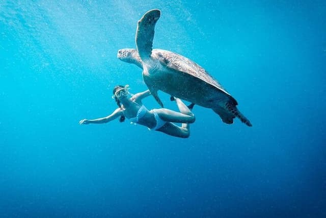 Gili Island Snorkeling Trip - Gili Trawangan, Gili Meno, & Gili Air, From Lombok