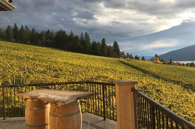 Lake Country 5Hour 5 Winery Tour