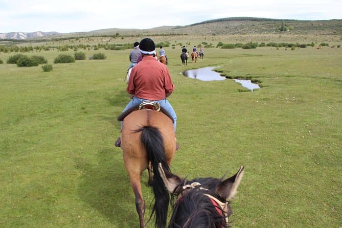 Unforgettable Horseback Riding Adventures in Bariloche