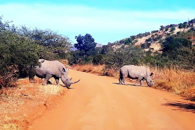 Top-Rated Sun City Tours & Experiences