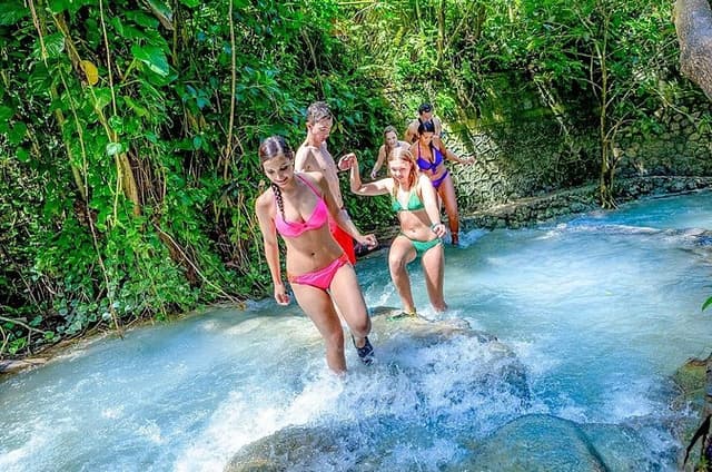 Dunn's River Falls & Luminous Lagoon Guided Tour from Montego Bay