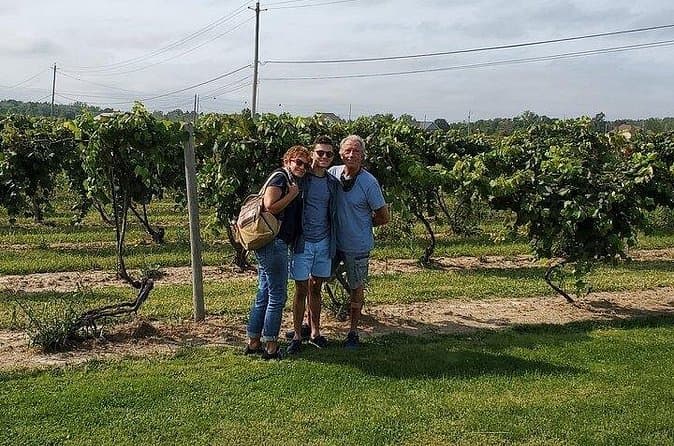 Top-Rated Niagara County Wine Tours & Experiences