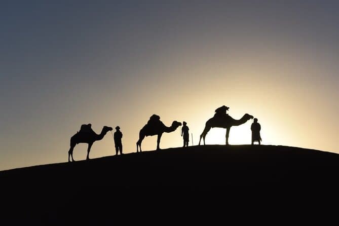 Authentic Marrakech Camel Trekking & Desert Adventures