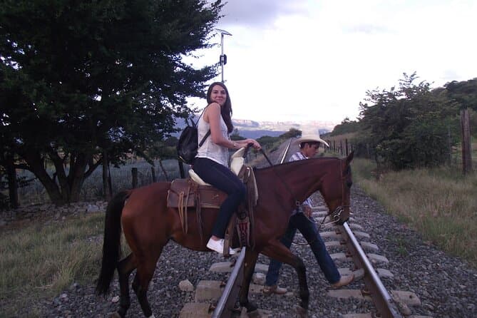 Ride Through Agave Fields: El Arenal Tour Guide