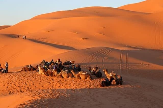 Explore Tangier: Cape Espartel, caves and camel ride.