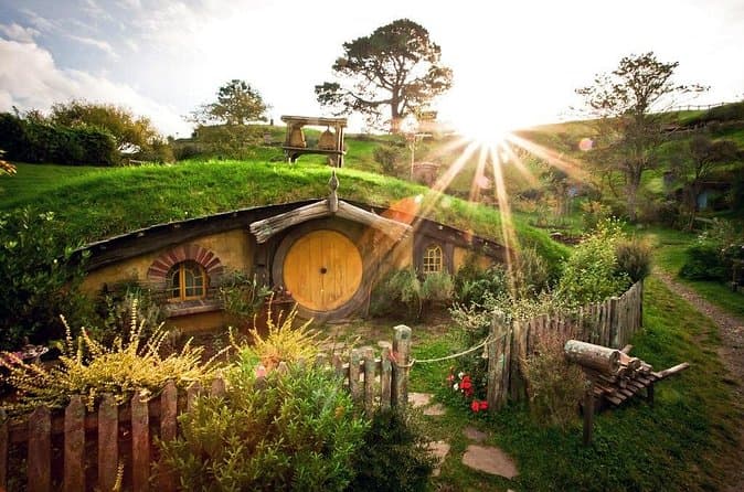 Compare Hobbiton Tours from Tauranga