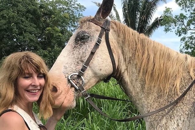 Jungle farm ride