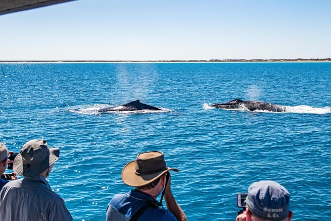 Broome Sunset Cruise