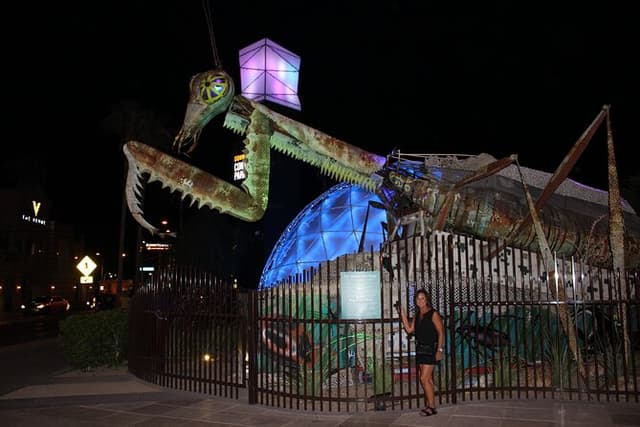 The Weird, Wacky Fremont Bar Experience with Cocktails and Photos