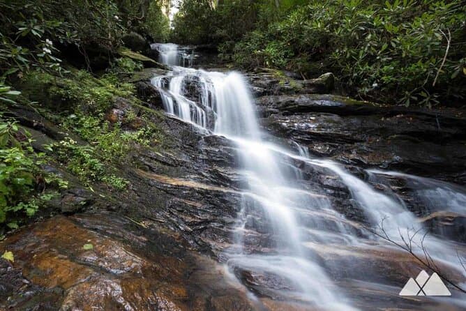 Best Bartram Trail Hike Tours & Guides