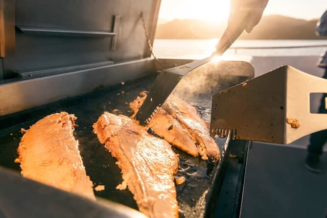 Seafood Odyssea Marlborough Sounds Cruise from Picton