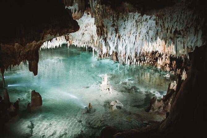 Compare Top Cayman Combo Tours in Grand Cayman