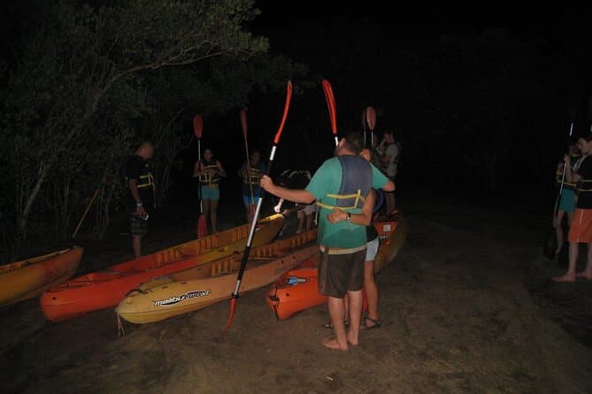 Mosquito Bay Bioluminescent Kayak Tour