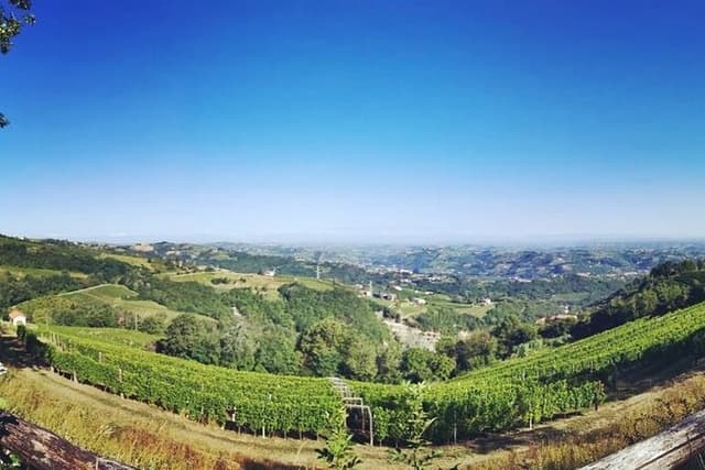 Barolo&Barbaresco Wine Experience with a Local Winemaker / Milano
