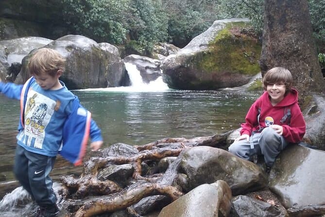 Best Appalachian Trail Hikes Near Gatlinburg