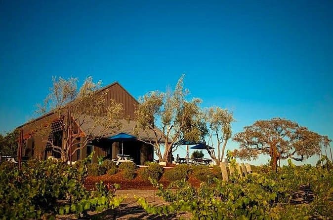 Best Paso Robles Wine Tours Near SLO
