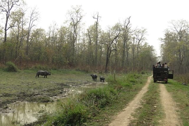 Jeep Safari (Private, 8-10 hrs.)inside Chitwan National Park.