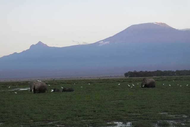 Day trip to Amboseli National Park
