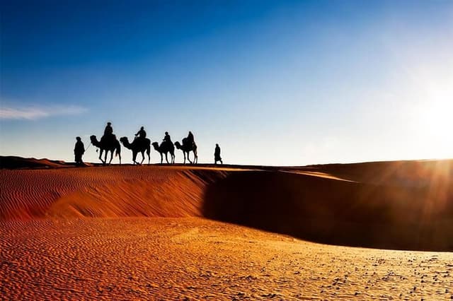 Private Tour To Zagora & Daraa Valley 2 Days 1 Night in The Tent
