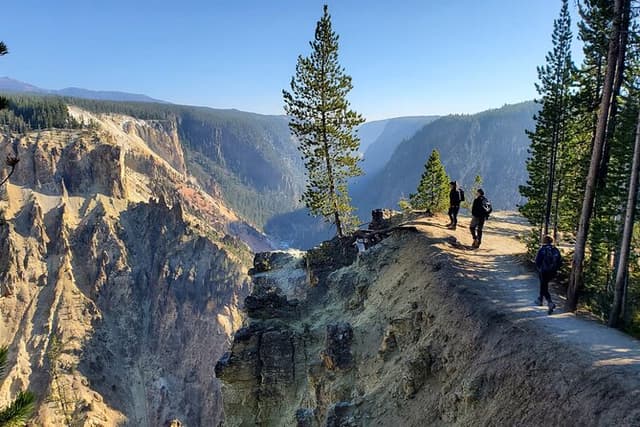 Grand Canyon of the Yellowstone Rim and Loop Hike with Lunch
